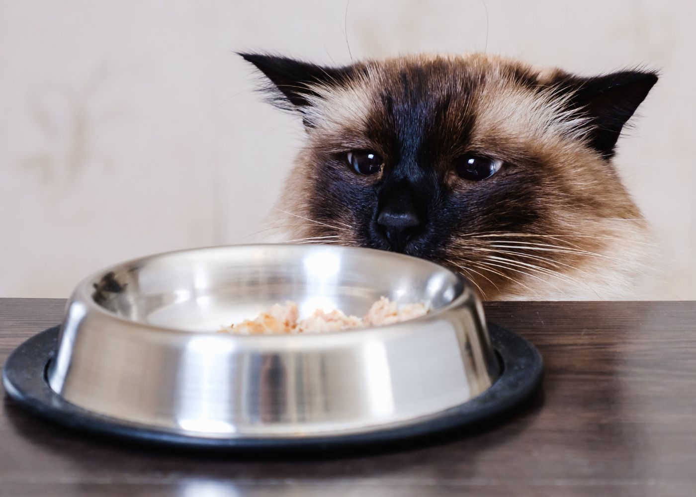 pâtée chat sans céréales