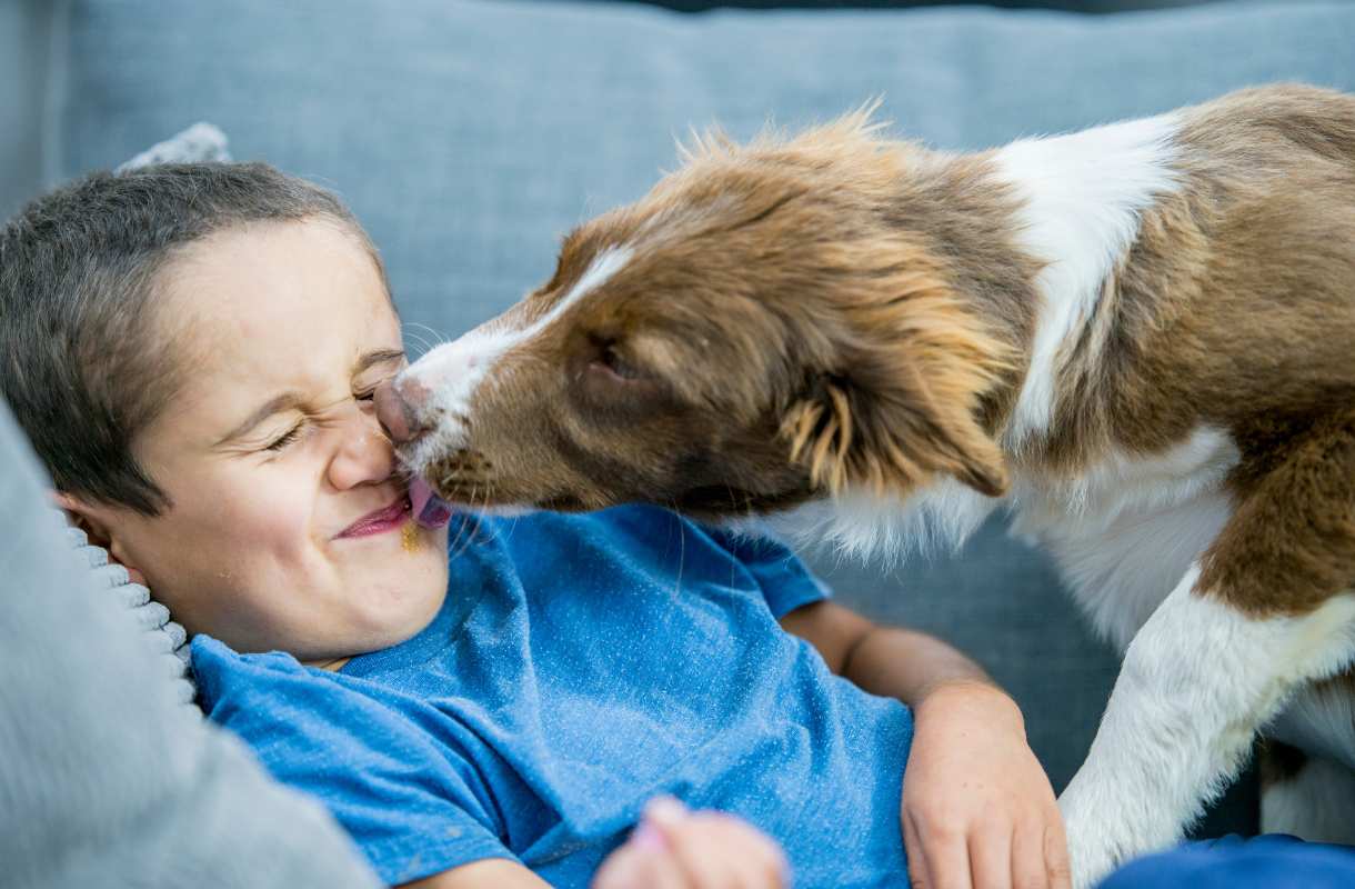 pourquoi chien leche